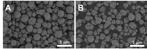 Scanning electron microscopy (SEM) 이미지 (A; Pt/NaA-0, B; Pt/HA-0)