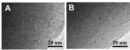 Transmission electron microscopy (TEM) 이미지 (A; Pt/NaA-0, B; Pt/HA-0)