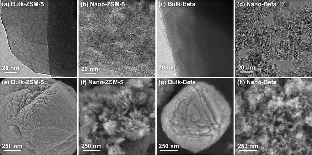 TEM(a-d) 및 SEM(e-h) 분석 결과. (a,e) Bulk-ZSM-5, (b,f) Nano-ZSM-5, (c,g) Bulk-Beta, (d,h) Nano-Beta 제올라이트