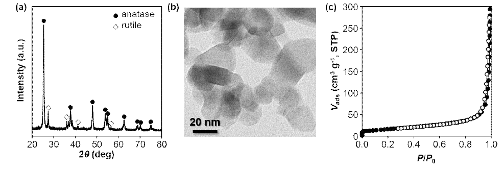 TiO2 촉매의 (a) XRD 분석, (b) TEM 분석, (c) N2 물리흡착 결과