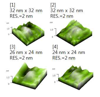 Structural analysis of KRS associated exosomes using atomic force microscopy