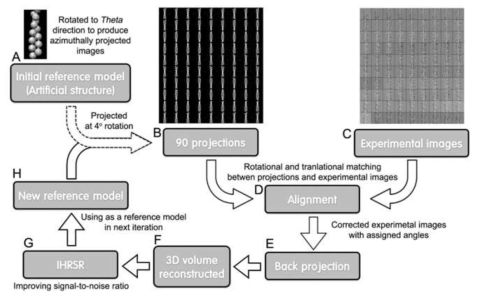 Designed work flow for 3D reconstruction using single particle analysis