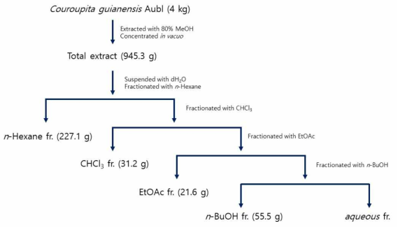 Couroupita guianensis 잎의 추출 및 분획