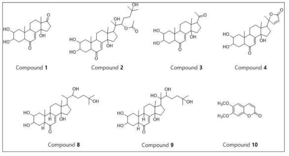 Sida rhombifolia 잎과 줄기 추출물의 chloroform 분획과 n-BuOH 분획물로부터 분리한 화합물 중 구조분석이 완료된 화합물의 화학구조