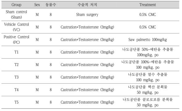 군구성 및 시험물질 투여