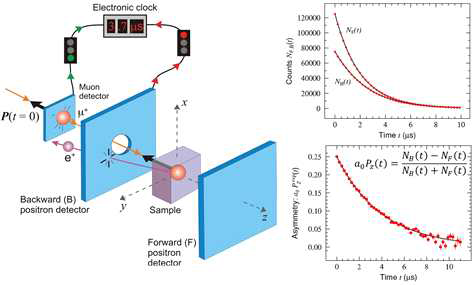 (왼쪽) ZF-μSR 개략도. (오른쪽) 뮤온 진행방향의 앞(F)과 뒤(B)에 위치한 섬광체에서 검출된 양전자의 히스토그램[NF(t), NB(t)]과 이를 통해 얻은 비대칭인자, A(t)