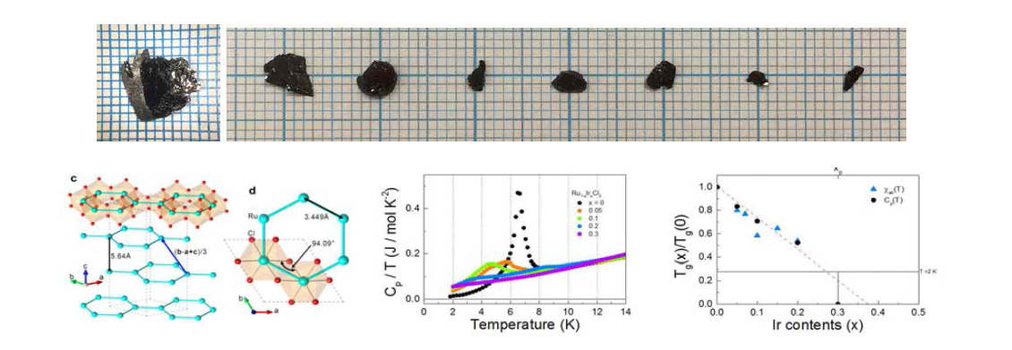 α-Ru1-xIrxCl3 시료 사진 (아래쪽) α-Ru1-xIrxCl3 시료에 대한 비열과 Ir양에 따른 스핀유리 전이온도