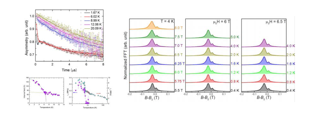 (왼쪽) α-RuCl3 시료의 ZF-μSR 스펙트럼과 뮤온 스핀 완화시간 (오른쪽) 고자기장하의 TF-μSR 스펙트럼의 FFT