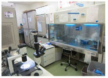 일본 NIRS의 중이온 생물학 실험실