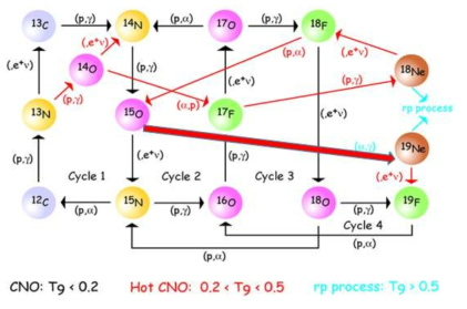 CNO cycle 과 Hot CNO cycle