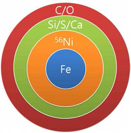 Ia Type Supernova Model