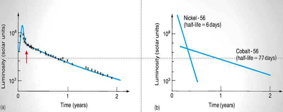 supernova를 생성하는 56Ni 및 56Co 의 radioactive decay 양