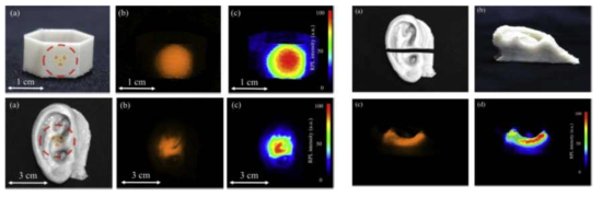 3D 프린팅으로 제작된 Dosimeter 및 X-ray 조사 후 측정한 Luminescence 이미지 및 이를 활용하여 추정된 흡수선량분포
