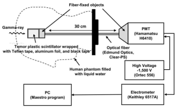인체 물팬텀과 인공 종양 모형의 플라스틱 섬광체가 적용된 감마나이프 퍼펙션 측정 시스템 프로토 타입 구성도