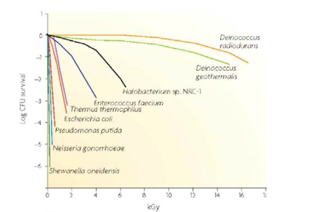 다양한 미생물에 대한 ionizing radiation을 통한 내성. 그림출처: Michael J. Daly et al. 2009. Nature Reviews Microbiology