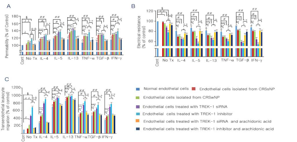 Transendothelial pemeability (A), electrical resistance (B) and transendothelial leukocytes migration (C) were measured in cultured normal endothelial cells, endothelial cells isolated from CRSsNP or CRSwNP, normal endothelial cells treated with TREK-1 siRNA, stimulated with TREK-1 inhibitor, TREK-1 siRNA and TREK-1 activator, or TREK-1 inhibitor and TREK-1 activator