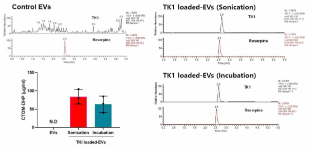 Mass spectrometry analysis을 통한 EV내 약물 탑재 평가