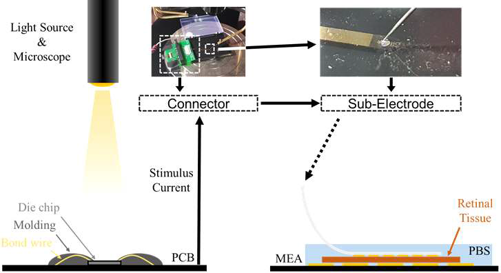 in-vitro 실험 검증 Setup diagram