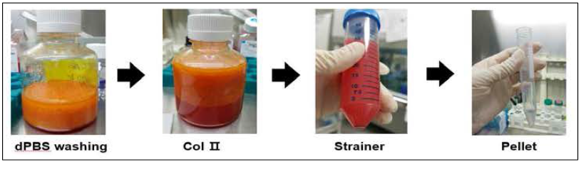 Cell pellet 확보