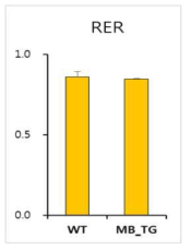 정상마우스(WT)와 pCAG-미오글로빈 형질 전환 마우스(MB_TG)의 호흡교환율 (RER)