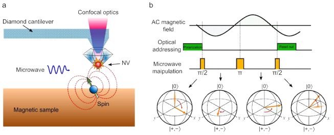 실험장치 모습과 AC 자기장 측정 예. (a) 다이아몬드 AFM 탐침이 자기 시료의 표면을 스캐닝하면서 나노미터 수준의 미세 자기장을 측정한다. (b) AC 자기장의 시간 변화에 따른 Hahn-echo 펄스 시퀀스(레이저, 마이크로파)와 그에 따른 Bloch sphere 상의 NV 스핀 상태의 변화