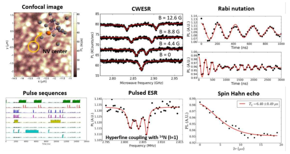 NV 센터 기본 측정 예들. Confocal image, 각종 pulse sequence 생성 및 제어, CW/pulsed ESR 측정, Rabi oscillation 측정, Spin Hahn echo (T2) 측정