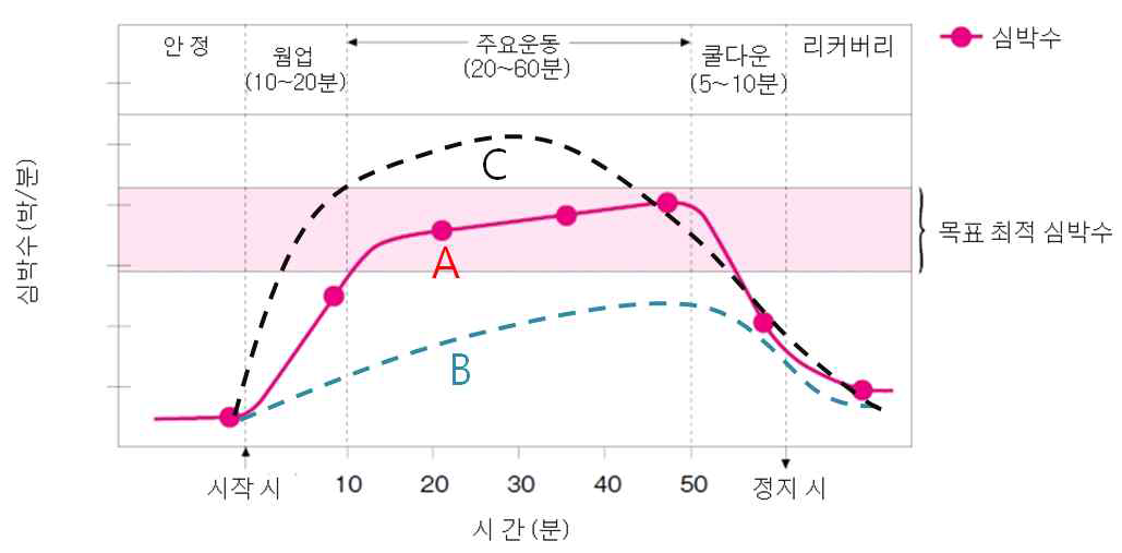 트레드밀을 활용한 심장 재활 운동 시스템