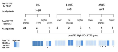 pre-TKI PD-L1 tumor proportion score (TPS) 0%인 26명중 6명이 post-TKI PD-L1이 상승하였고, 이중 5명은 CD8+ TILs 이 증가함. pre-TKI PD-L1 TPS가 1-49% 인 9명중 3명은 증가하였음. pre-TKI　PD-L1 TPS≥ 50%인 9명중 1명은 post-TKI PD-L1 발현이 증가하였으나 이들 중 변화 없거나 증가한 5명중 4명의 CD8+ TILs 이 감소함. post TKI PD-L1 이 발현이 증가되거나, TPS≥ 50% 이상인 환자 군을 post-TKI high PD-L1 group으로 구분함.
