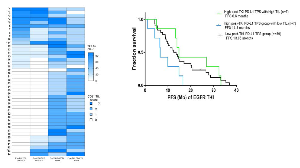각 개별 환자의 PD-L1 과CD8+ TILs의 TKI 내성발생 전후 비교.