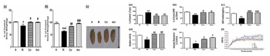 Curcumin 처리에 따른 방사능기인 타액선 기능손상 회복효과 확인