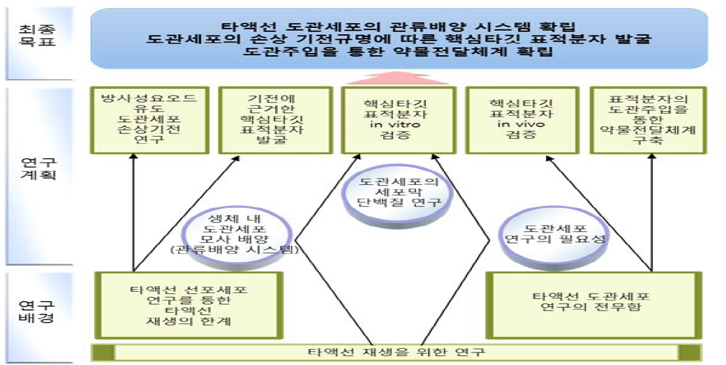 연구개요