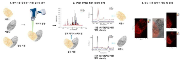 과제 진행 계획 개략도