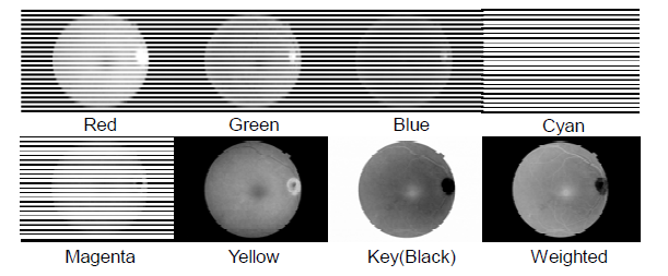 RGB, CMYK 채널 별 영상 및 가중 영상