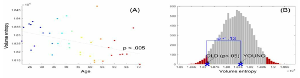 볼륨엔트로피가 노화함에 따라서 감소하고 있고(A) 정상성인을 젊은성인과 노인집단 각 19명으로 나누어 분석하고 random permutation 방법으로 유의성을 검증하였음.(‘x’ marker). (Lee H, et al. Sci Rep 2019)