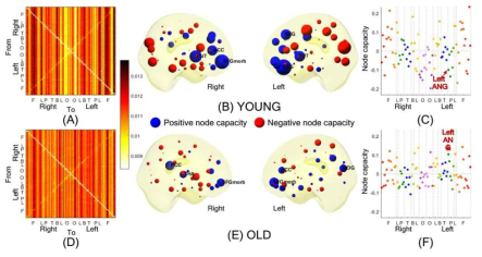 뇌네트워크 일반화한 Markov시스템으로 모델을 구성하여 측정한 노드와 에지의 정보흐름의 양적 산출물 행렬(A,D). 젊은 그리고 나이든 그룹에서 얻은 노드 정보량(B-F). 동그라미 크기는 노드처리 정보 크기 총량 빨간 색은 나가는 에지가 들어오는 에지보다 많은 것을 표현(B,E) (Lee H, et al. Sci Rep 2019)