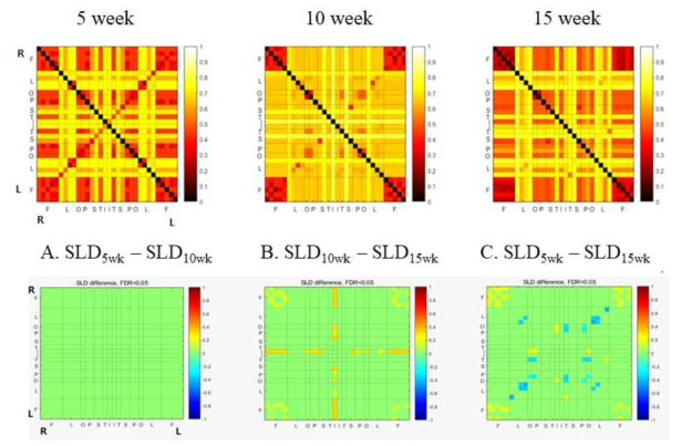 정상발달쥐에서 single linkage matrix 비교를 통한 뇌 연결성 변화 (Lee et al., In preparation)