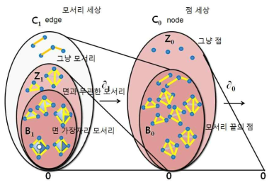 simplicial chain complex의 상/하위 차원에서의 연관도