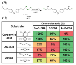 (가) DGEBA 및 DzEBA의 고리 개환반응 scheme; (나) 다양한 친핵체들에 대한 고리 개환반응의 수율 및 속도론 연구 결과