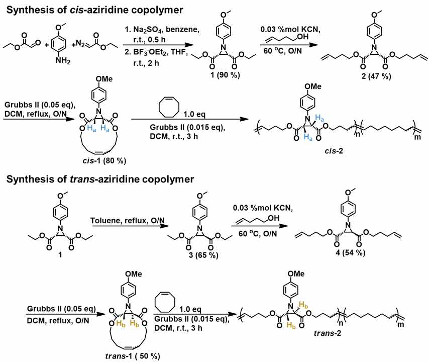 시스와 트렌스-아지리딘 선형 고분자 합성 경로