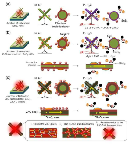 센싱 메카니즘 모식도-자가발열 효과 (a) SnO2 나노선, (b) CuO 기능화된 SnO2 나노선, (c) CuO 기능화된 SnO2-ZnO core-shell 나노선
