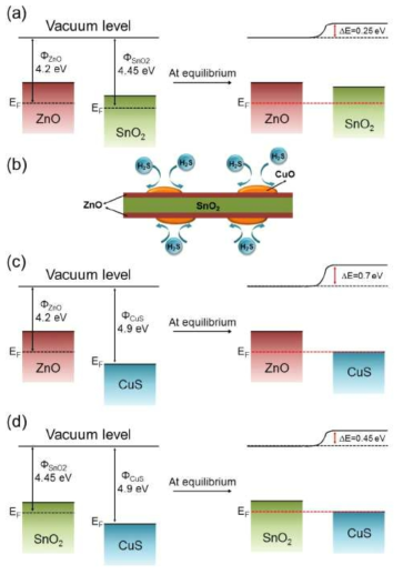 (a) SnO2, ZnO의 에너지 준위 그리고 heterojunction barrier의 형성 (b) Spillover 효과 (c) ZnO, CuS의 에너지 준위 그리고 heterojunction barrier의 형성 (d) SnO2, CuS의 에너지 준위 그리고 heterojunction barrier의 형성