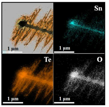 성장시킨 SnO2-TeO2 복합구조의 Elemental Mapping (Sn, Te, O) 데이터