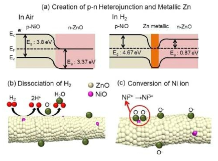 센싱 메카니즘 모식도 (a) p-n heterojunction의 생성과 ZnO의 금속화 현상 (b) 수소가스분자가 표면에서의 분해 및 산화 (c) Ni이온의 conversion현상