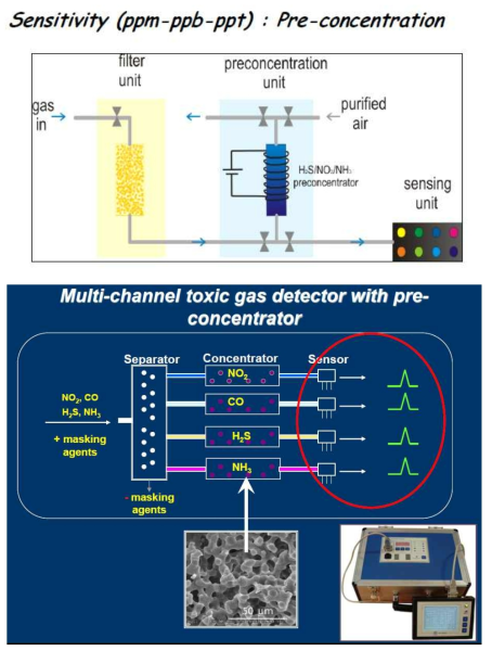 러시아 모스크바 대학교 루만체바 교수 연구팀이 보유중인 Pre-concentrator를 이용한 초저농도 가스 센싱 시스템