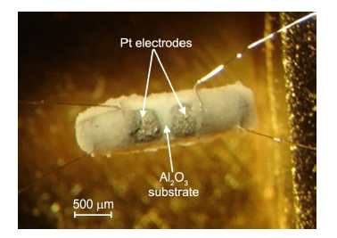 본 실험에 사용된 알루미나 기판+백금전극+백금heater [단 백금 heater는 뒷면에 있어 보이지 않음]