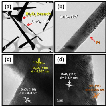 SnO2-Bi2O3-Pt 복합체의 TEM 이미지