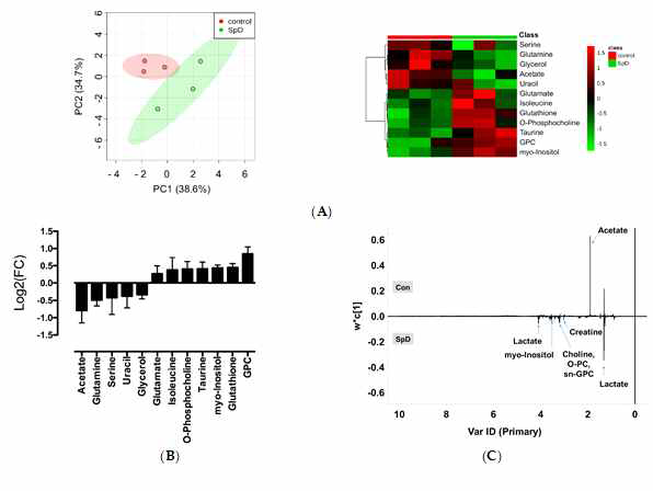 다변량분석인 주성분분석, Heat-map 분석을 통하여 대사체변화를 분석함. 증가하거나 감소한 대사체들을 표시하고 주성분분석의 Loading plot을 표시하였음