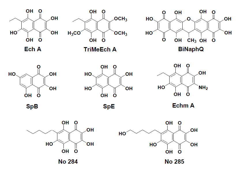 Echinochrome A (EchA)와 Spinochrome 구조 유사체. : Trimethyl ether of echinochrome A (TriMeEch A), anhydroethylidene-6,6’-bis(2,3,7-trihydroxynaphthazarin) (BiNaphQ), spinochrome B (SpB), spinochrome E (SpE), 2,3,5,7,8-pentahydroxy-6-(5’-hydroxypentyl)-1,4-naphthoquinone ) (No. 285) echinamine A (Echm A), 6-pentyl-2,3,5,7,8-pentahydroxy-1,4-naphthoquinone (No. 284),