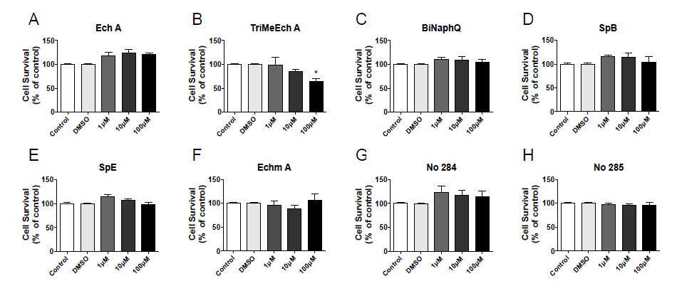 Ech A 및 구조유사체들은 AC16 심근세포에 처리 시 심근세포의 활성에 영향을 주지 않음