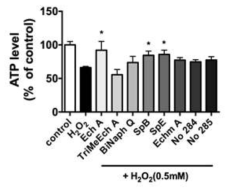 Ech A 및 구조유사체들은 AC16 심근세포의 산화스트레스하에서 ATP생산을 증가시킴. Spinochrome B와 E의 효과가 현저함